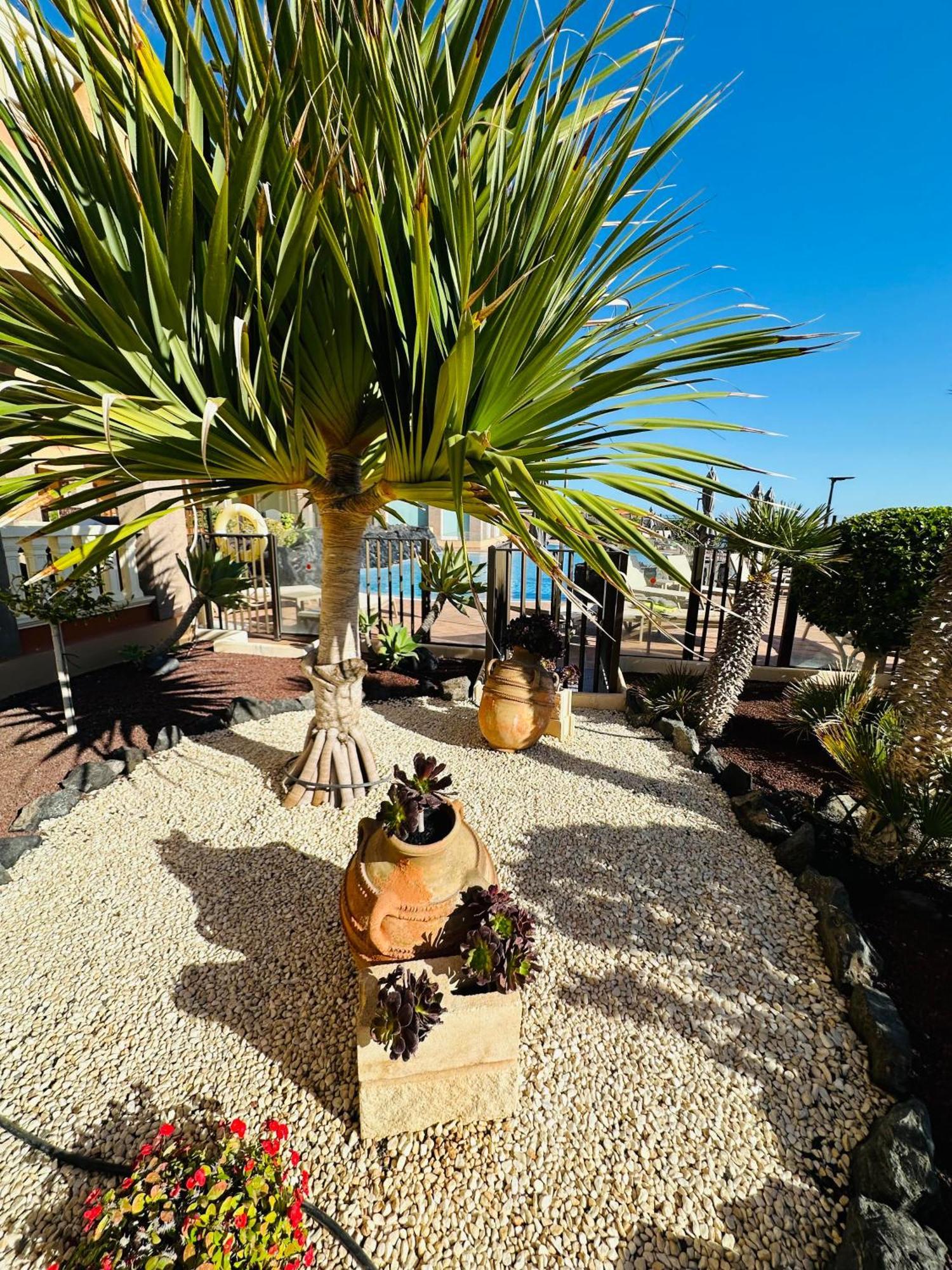 El Nautico Coral Suites San Miguel de Abona Exterior photo