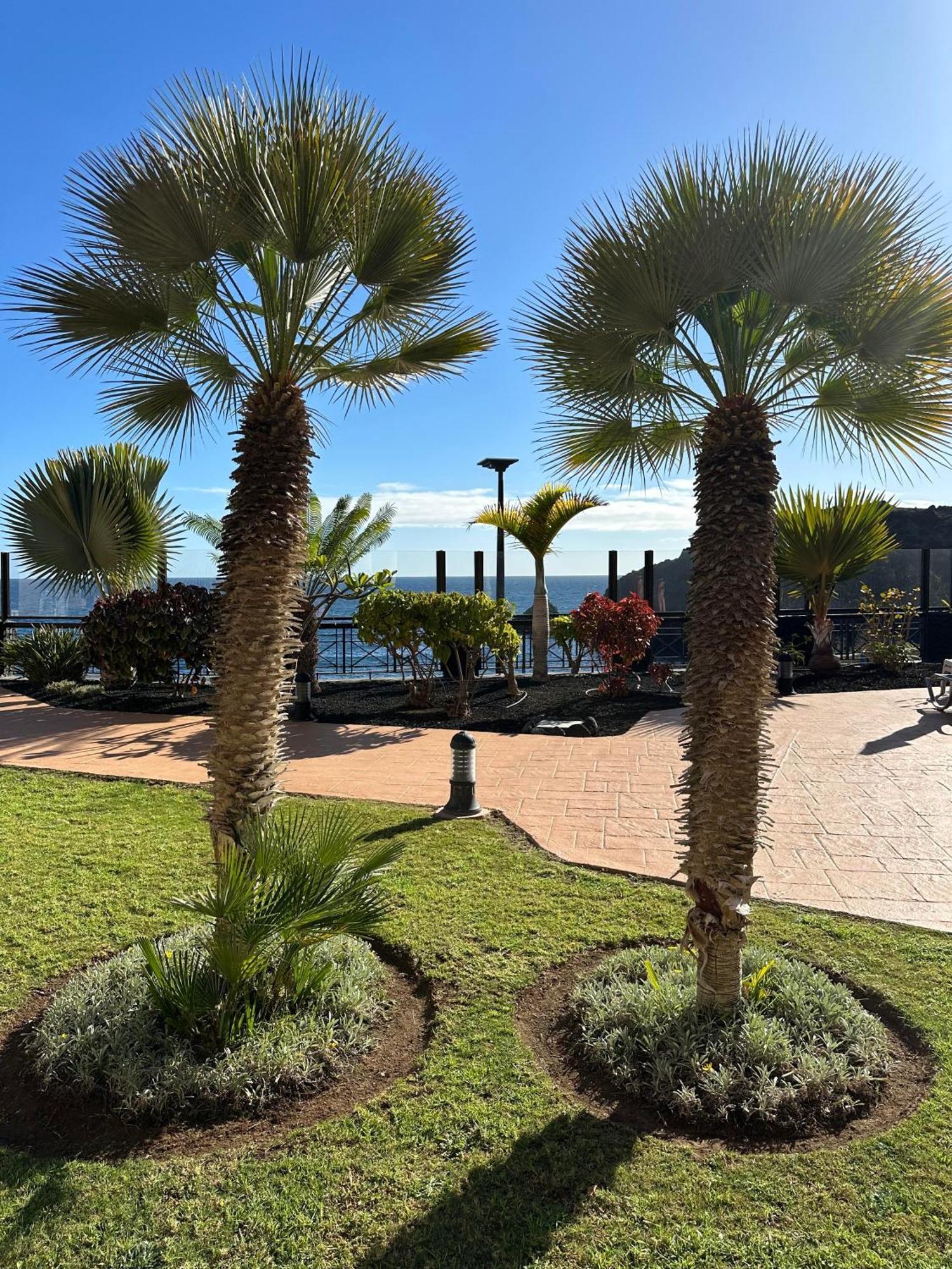 El Nautico Coral Suites San Miguel de Abona Exterior photo